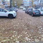 PHOTO-2024-11-26-11-41-21 (2)