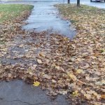 PHOTO-2024-11-26-11-43-02