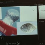 vlcsnap-2024-11-20-14h27m57s317