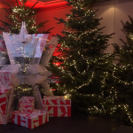 vlcsnap-2024-11-20-14h48m54s333