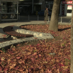 vlcsnap-2024-11-26-12h36m44s865