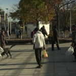 vlcsnap-2024-11-26-12h36m49s445