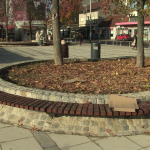 vlcsnap-2024-11-26-12h37m05s539