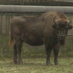 vlcsnap-2025-01-22-12h56m20s253