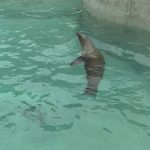 vlcsnap-2025-01-22-12h56m50s460