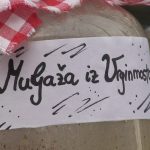 vlcsnap-2025-01-23-12h19m58s697