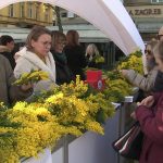 vlcsnap-2025-01-29-14h05m51s694