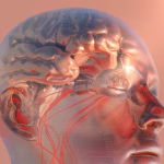 stroke5