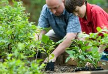 100.000 eura udrugama za zaštitu okoliša i prirode