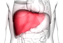 Bolesti jetre u porastu: stručnjaci u Zagrebu upozorili na zabrinjavajući trend jetra